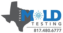 Texas Mold Testing